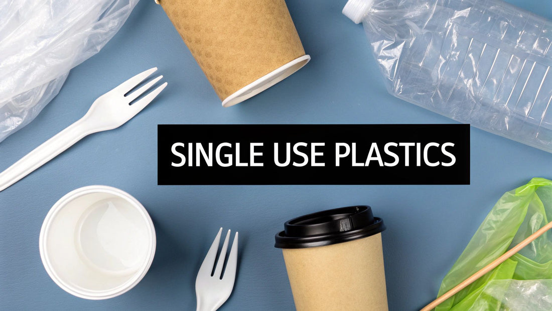 What Are Single Use Plastics Explained