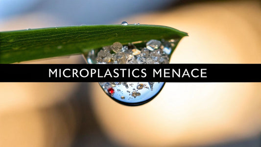 Microplastics Health Effects: What You Need to Know