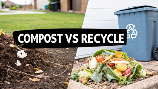 Compostable vs Recyclable: 6 Key Material Differences