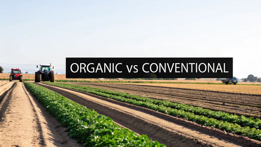 Organic Farming vs Conventional: Which Is Better?